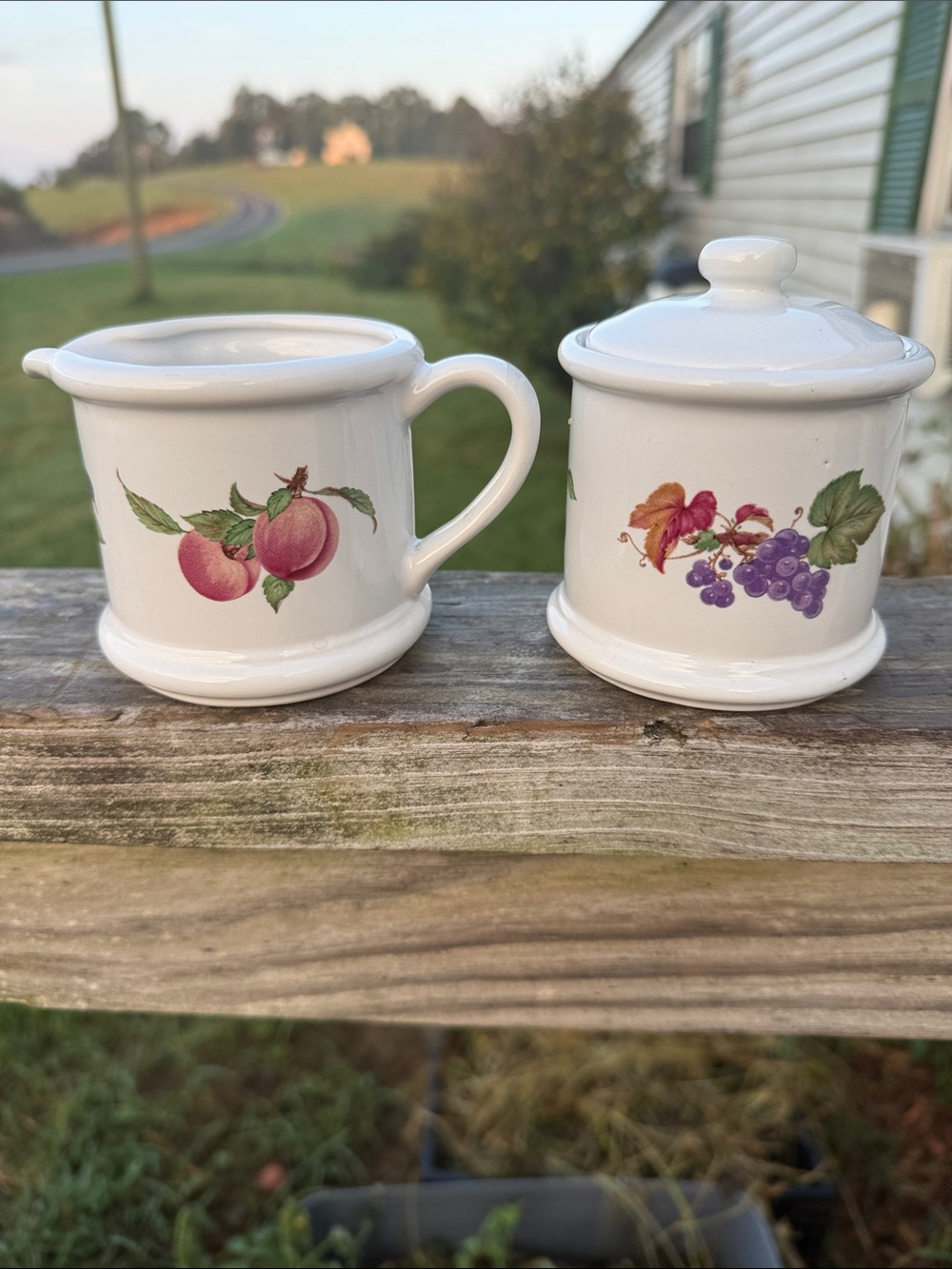 White Ceramic Fruit Pattern Sugar and Creamer looool country cottage,